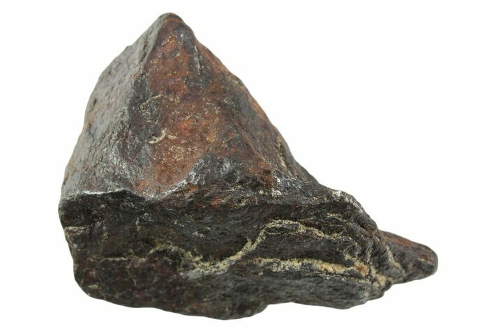 Canyon Diablo Iron Meteorite ( g) - Arizona #356119